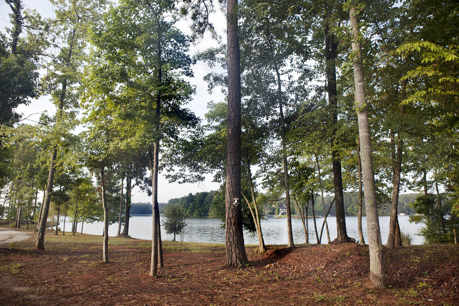 Lakeside community in Georgia called Lake Oconee showing view of water through pine trees and house on other side of the bank