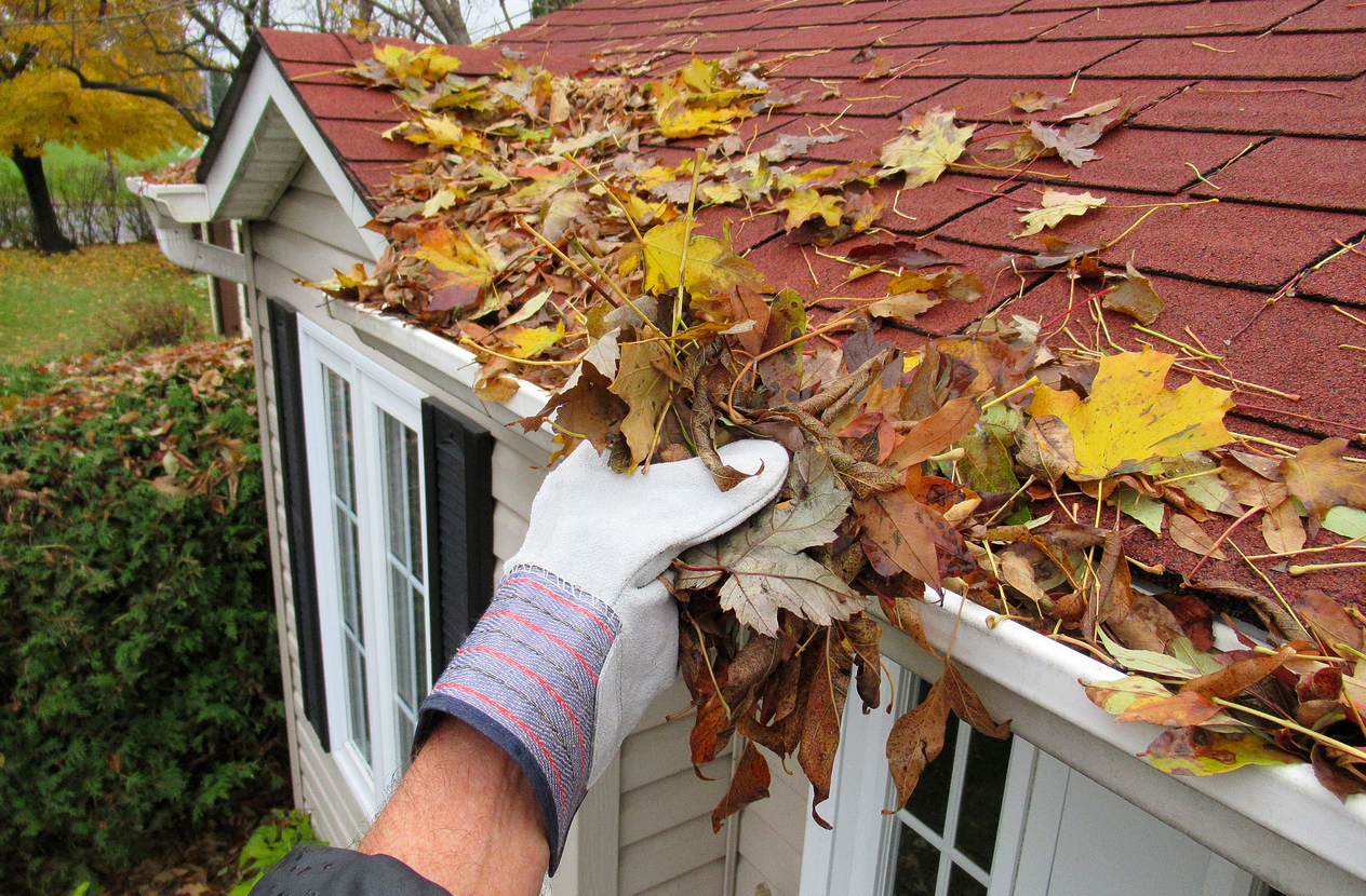 Nature... This Close up, shows some one cleaning leaves from a roof top gutter "